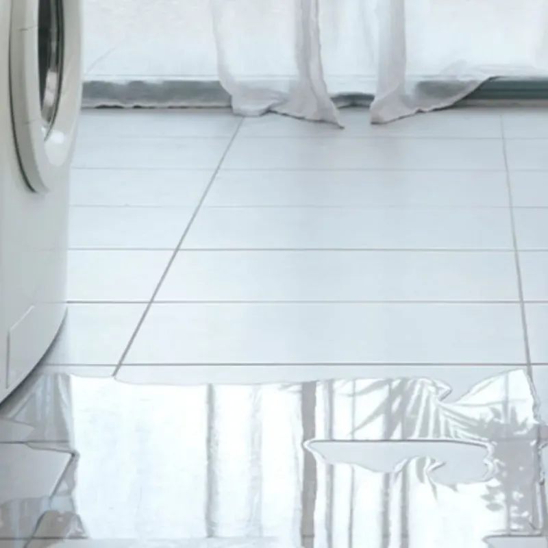 Appliance Leak Cleanup in Sparks, TX