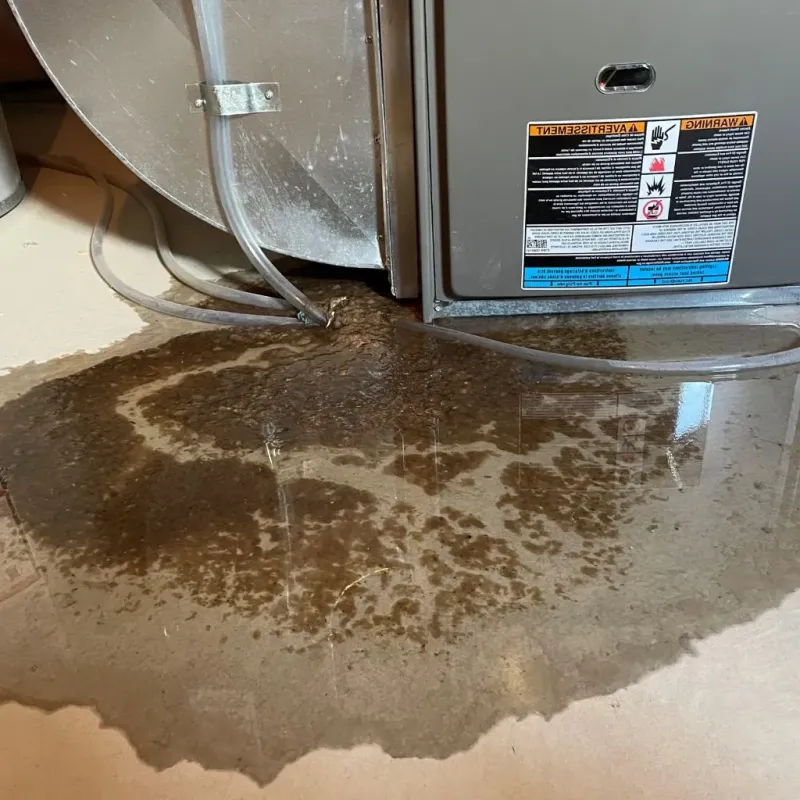 Pipe Burst and Leak Restoration in Sparks, TX